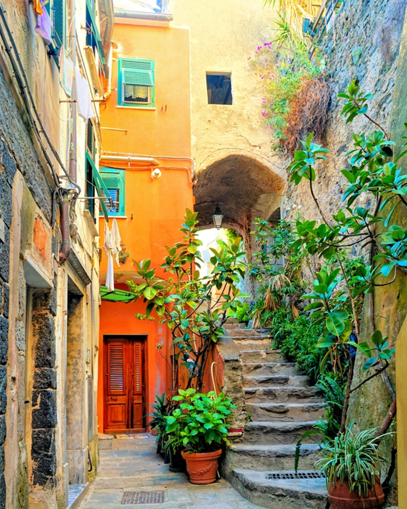 Colorful plant lined old street in the Cinque Terre village of Vernazza, Italy